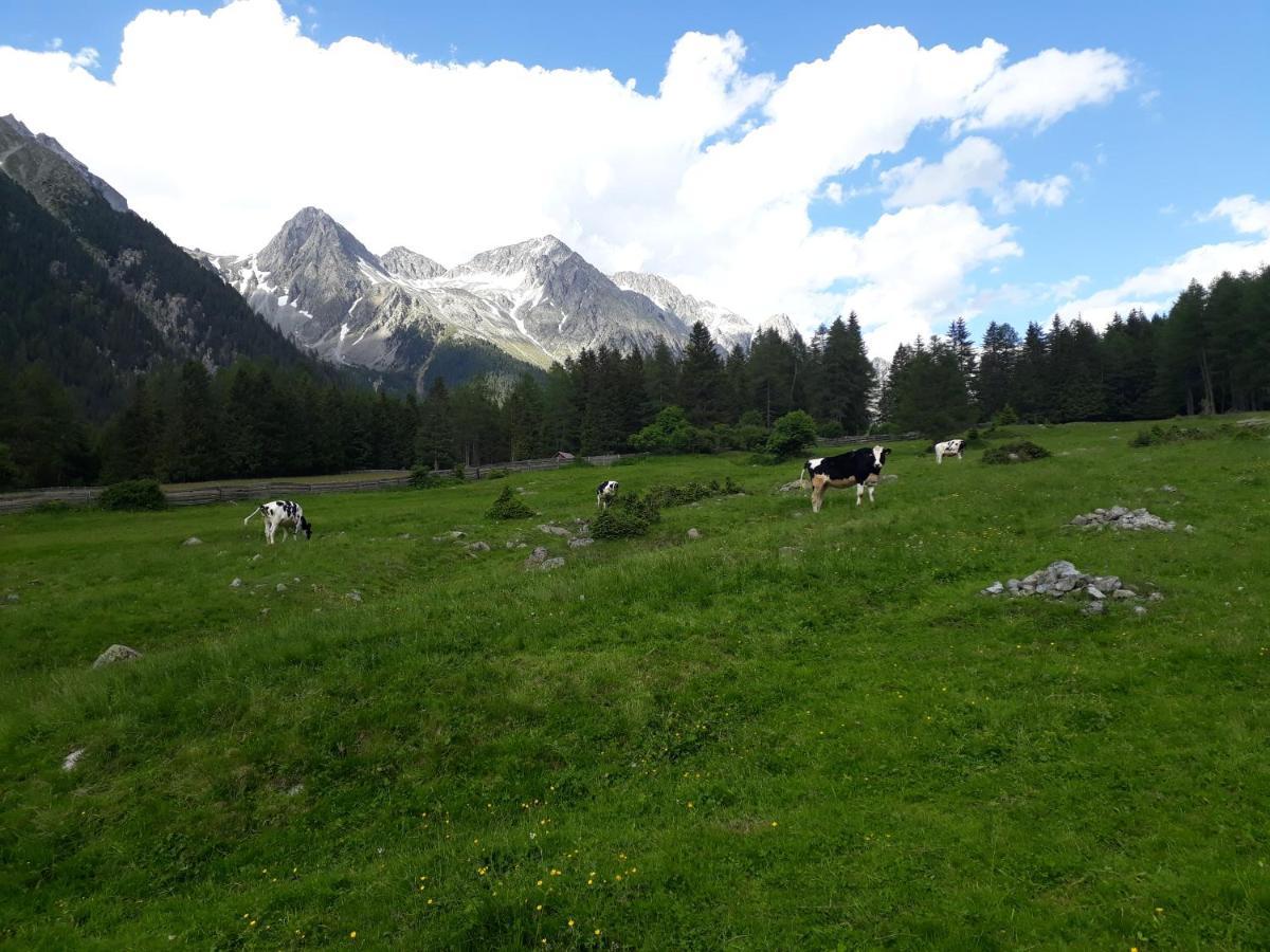 Villa Unterreinischhof à Anterselva di Mezzo Extérieur photo