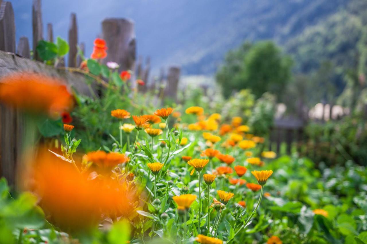 Villa Unterreinischhof à Anterselva di Mezzo Extérieur photo